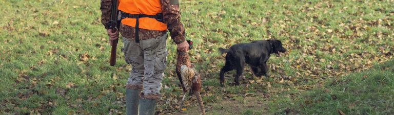 Ein Mann mit Jagdbekleidung und einer orangefarbenen Weste auf Fasanenjagd in einem Waldgebiet bei bewölktem Wetter. Ein Jäger mit einem Fasan in der Hand abgesichert durch Jagdunfallversicherungen der ARGE BW