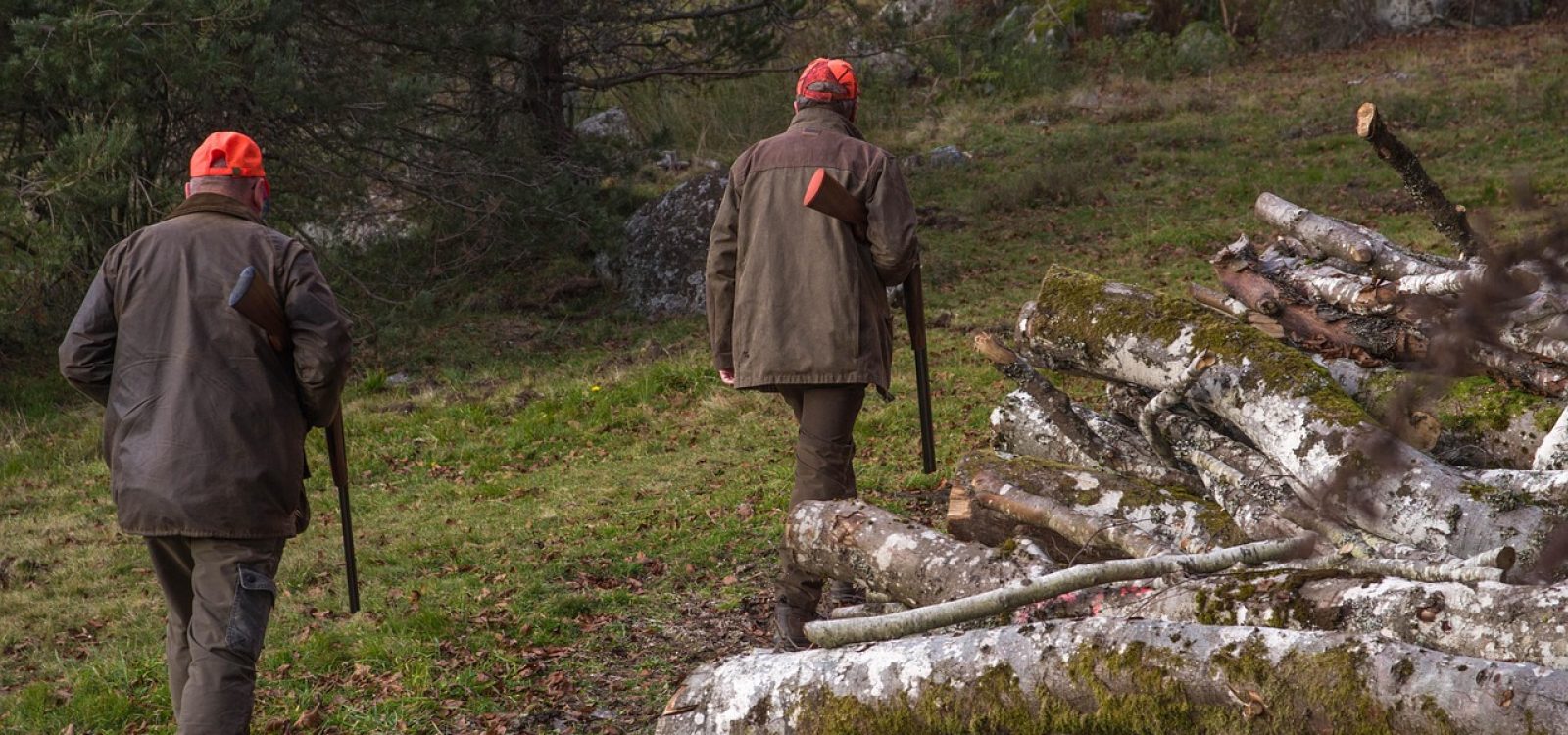 hunt-6789253_1280