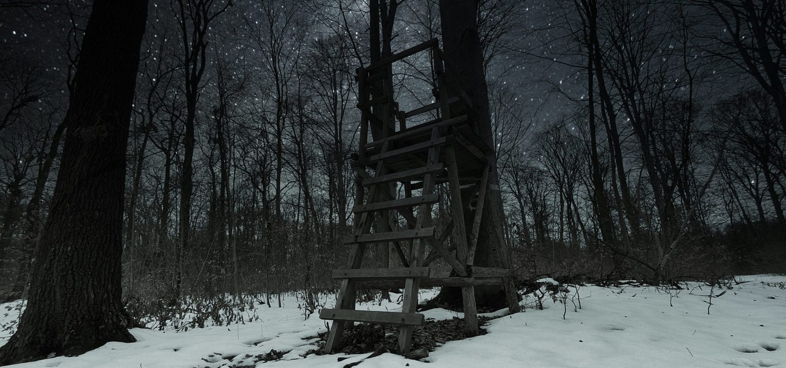 martin-er-GP81zvCR8C8-unsplash